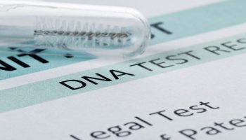 Buccal swab in test tube on paternity DNA test result chart form