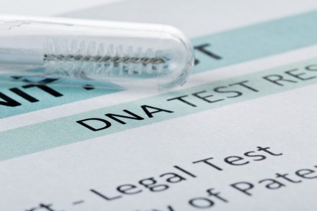 Buccal swab in test tube on paternity DNA test result chart form